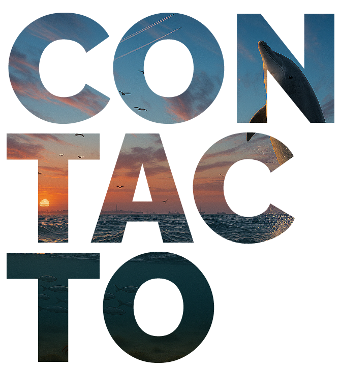 CONTACTO